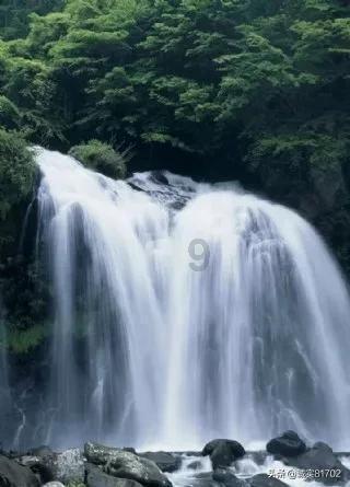 救援选美皇后